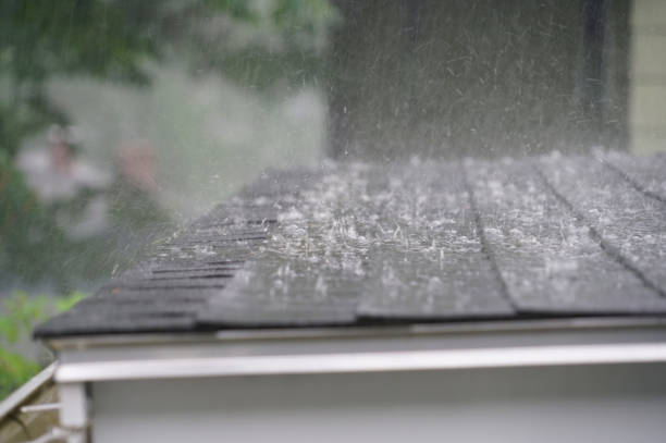Best Steel Roofing  in Brookdale, SC