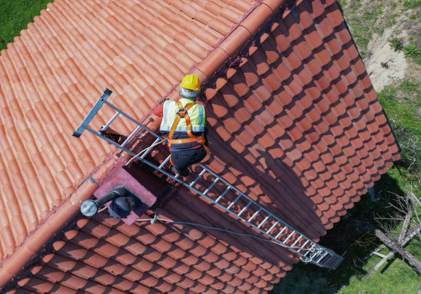 Best Roof Insulation Installation  in Brookdale, SC