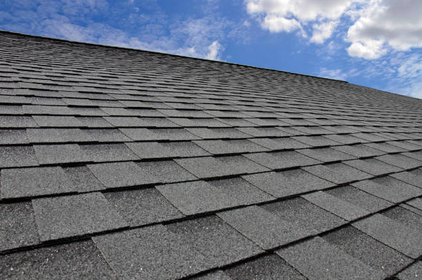 Brookdale, SC Roofing Company