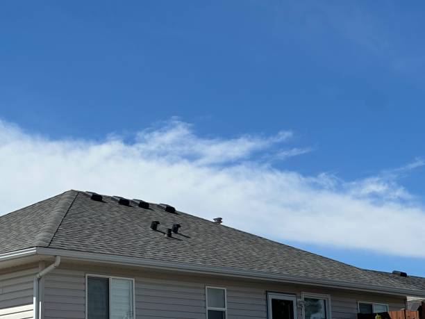 Best Roofing for New Construction  in Brookdale, SC